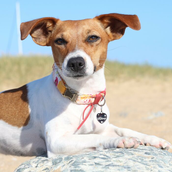 Médaille personnalisée métal argenté gravé cœur 18x22 mm - porté 3