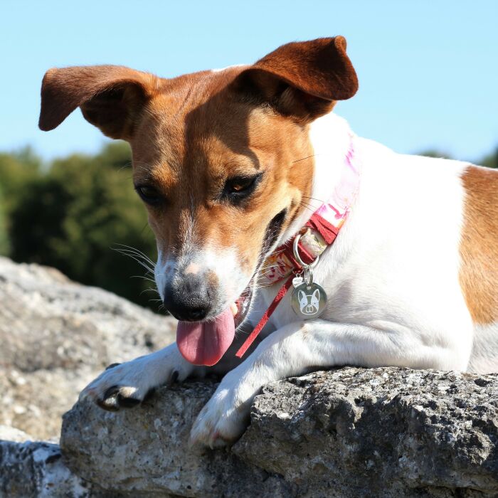 Médaille personnalisée métal argenté gravé 22 mm - porté 2