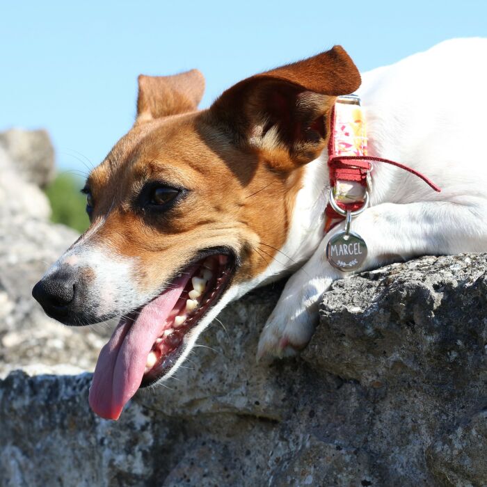 Médaille personnalisée métal argenté gravé 22 mm - porté 4