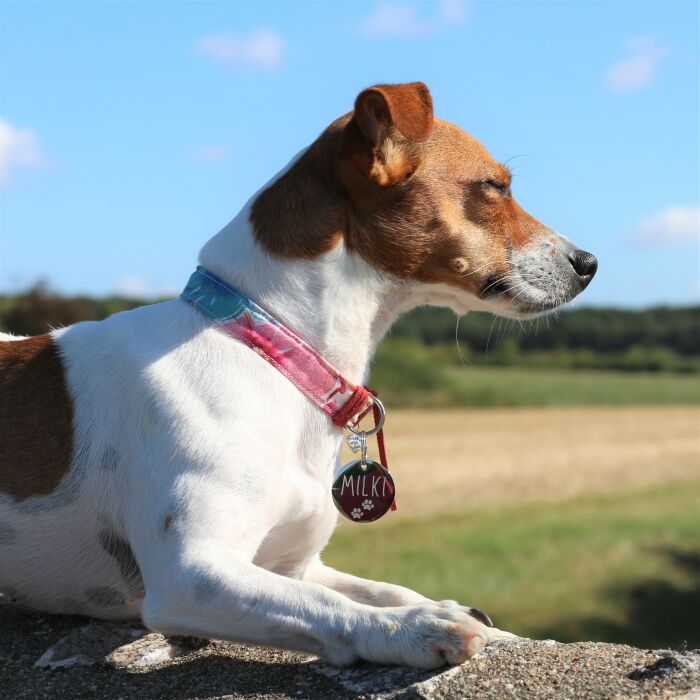 Médaille personnalisée métal argenté gravé 33 mm - porté 2