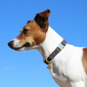 Médaille personnalisée métal doré gravé 16 mm - porté 4