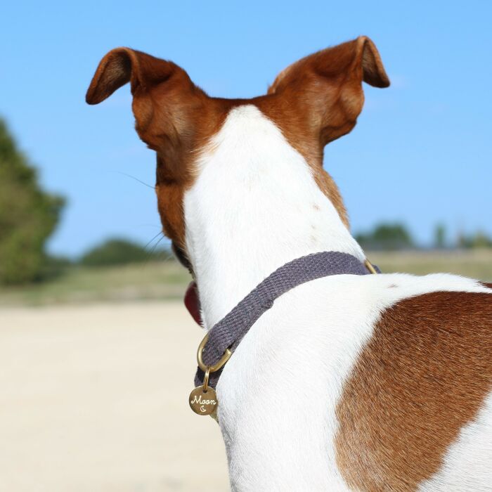 Médaille personnalisée métal doré gravé 16 mm - porté 2