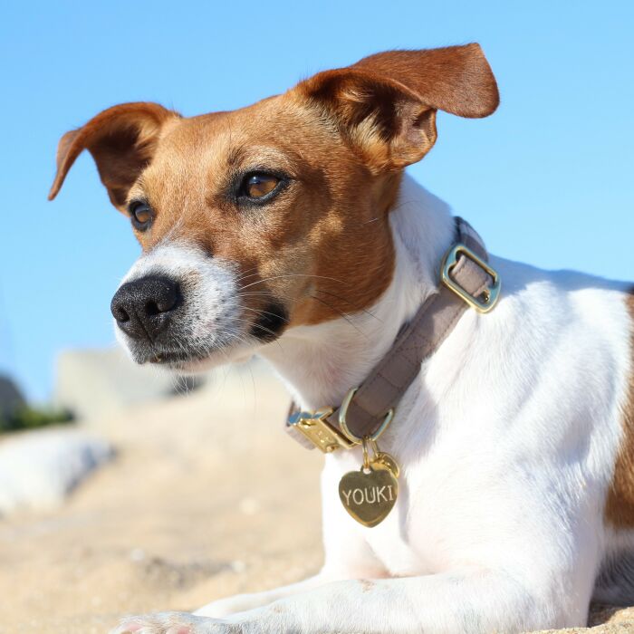 Médaille personnalisée métal doré gravé cœur 23x26 mm - porté 1