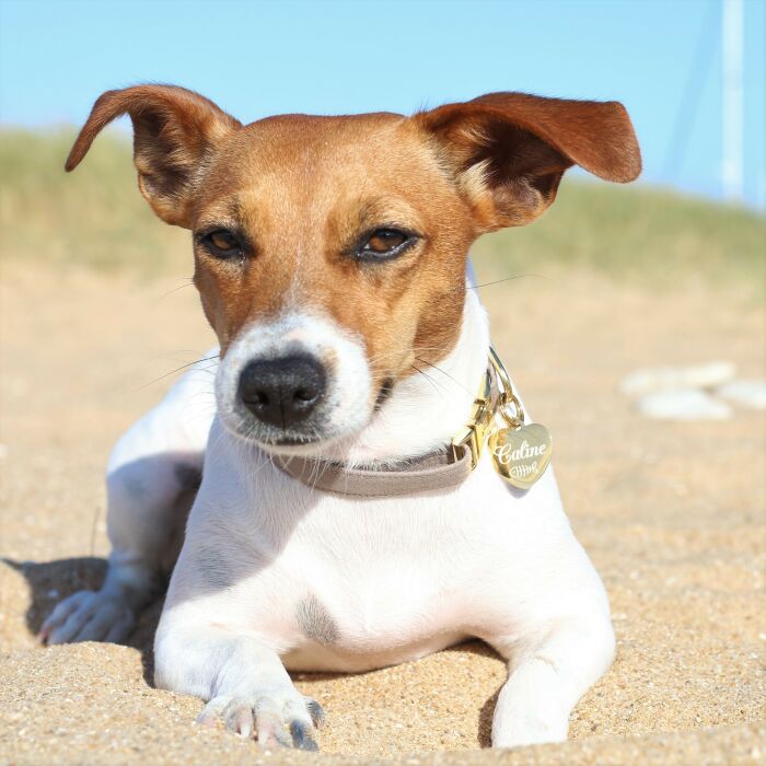 Médaille personnalisée métal doré gravé cœur 23x26 mm - porté 2