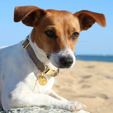 Médaille personnalisée métal doré gravé 22 mm - porté