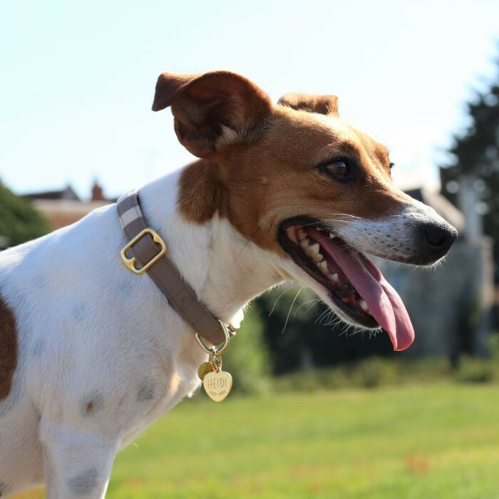 Médaille personnalisée métal doré gravé cœur 18x22 mm - porté 3