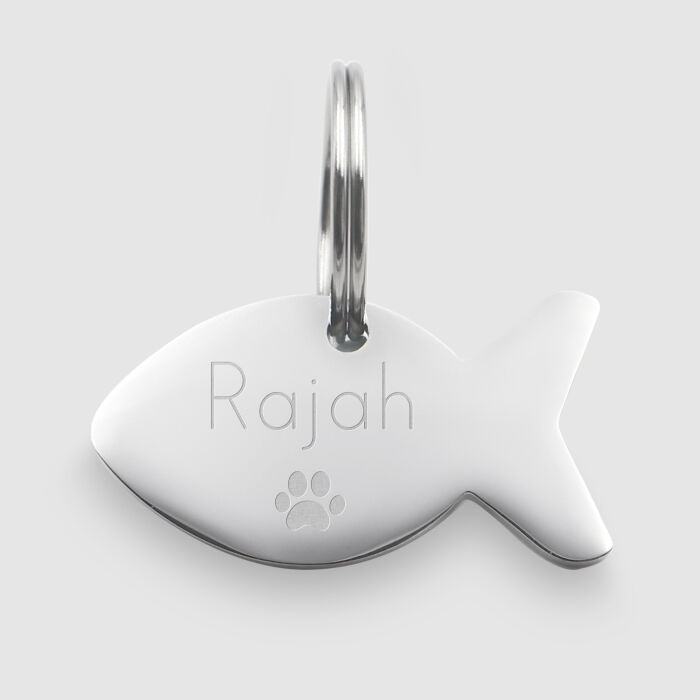 Médaille personnalisée acier argenté gravé poisson 34x19 mm nom + pictogramme