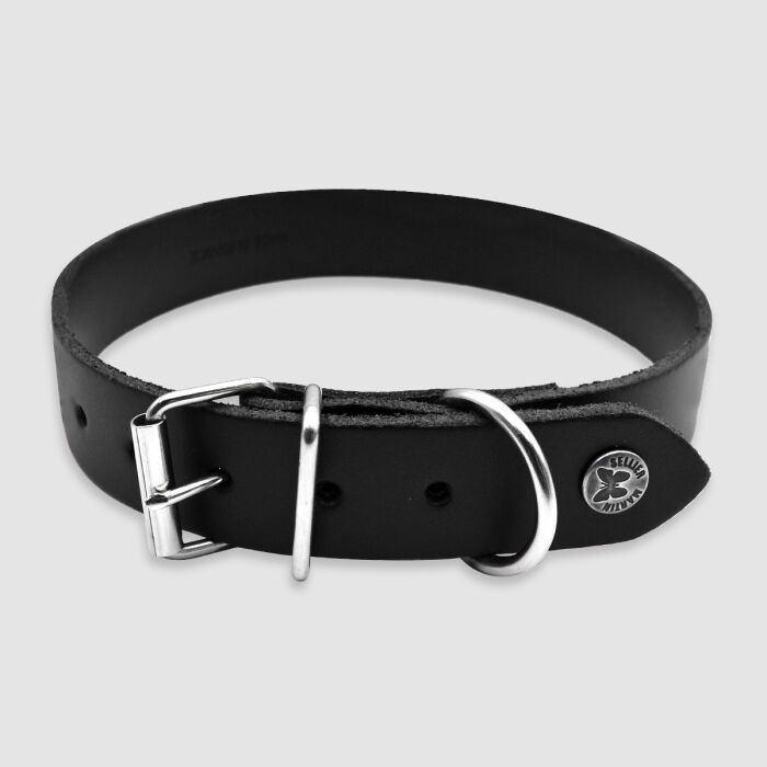 Collier cuir réglable chien 2,2x47cm