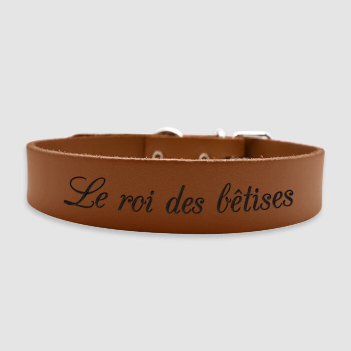 Collier cuir réglable personnalisé chien 2,2x47cm - le roi des bêtises
