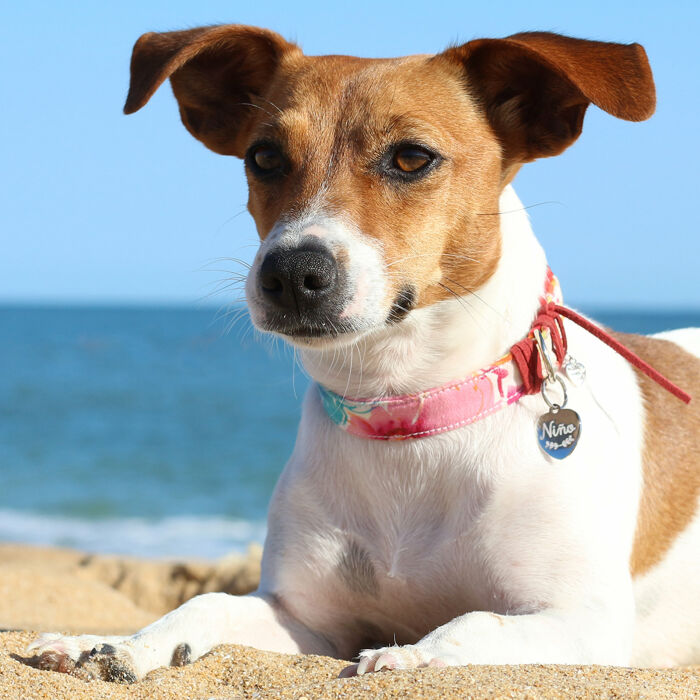 Médaille personnalisée acier argenté gravé cœur 18x22 mm