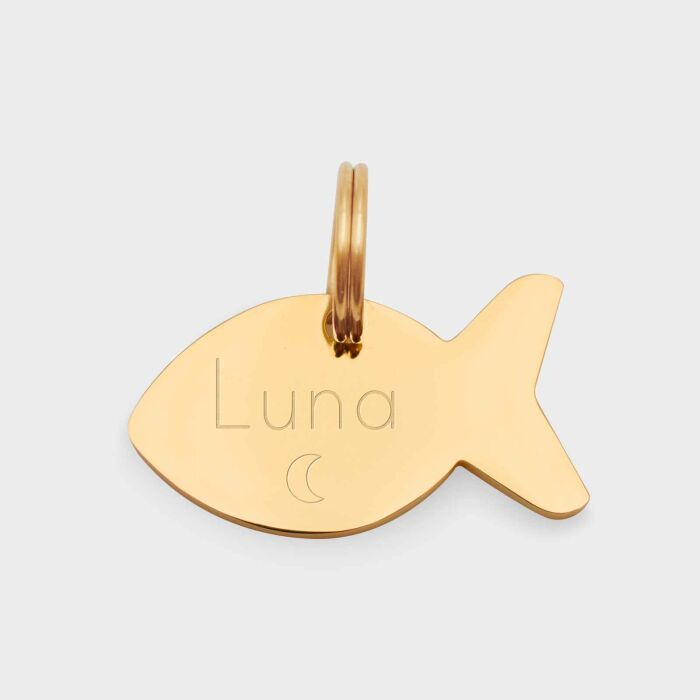 Médaille personnalisée acier doré gravée poisson 30x15 mm - texte + picto