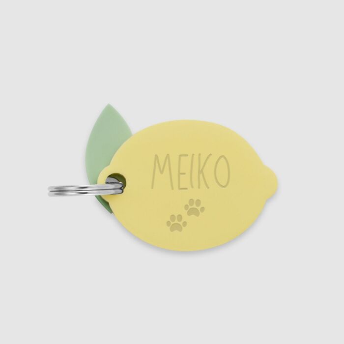 Médaille personnalisée acrylique coloré gravée 23x31 mm "citron" - texte + picto