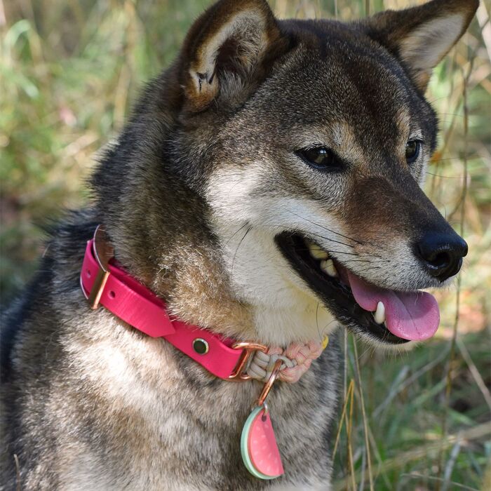 Médaille personnalisée acrylique coloré gravée 20x40 mm "pastèque"