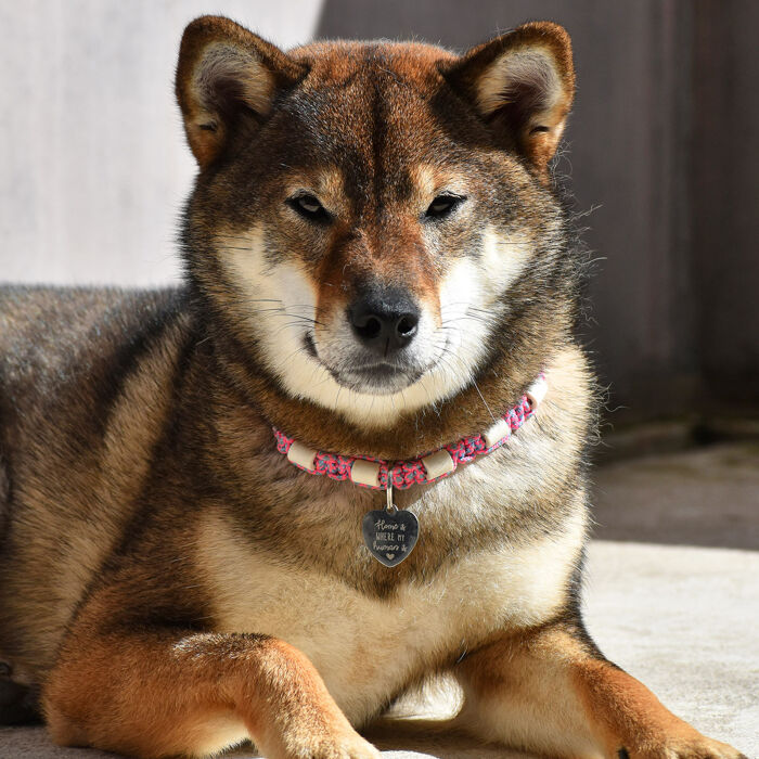 Médaille personnalisée acier argenté gravé cœur 23x26 mm