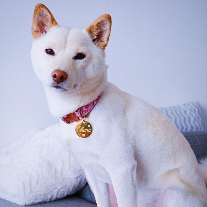 Médaille personnalisée acier doré gravé 33 mm