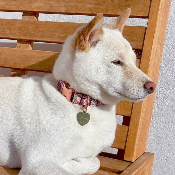 Médaille personnalisée acier doré gravé cœur 23x26 mm