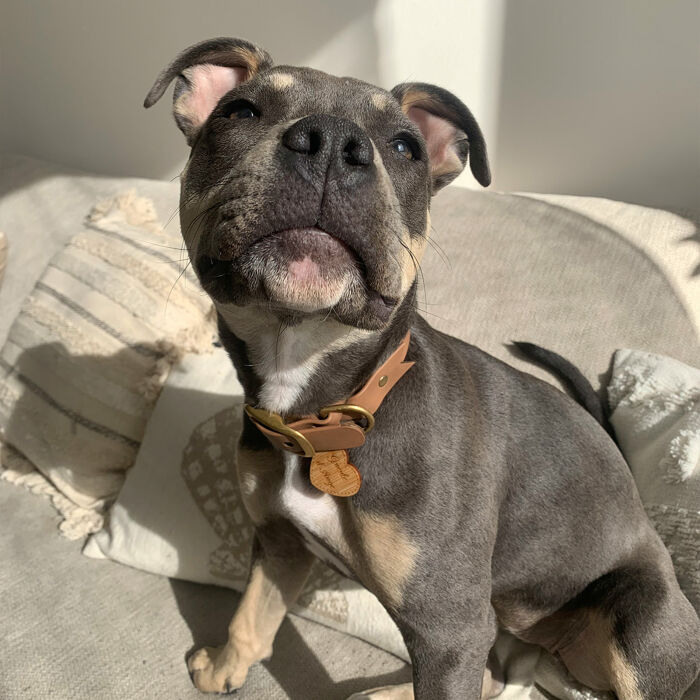 Médaille personnalisée bois gravée coeur 33x30 mm