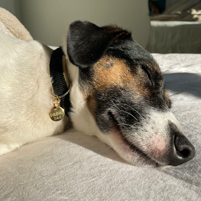 Médaille personnalisée acier doré gravé 16 mm