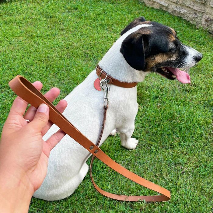 Laisse cuir chien 1,6x100cm