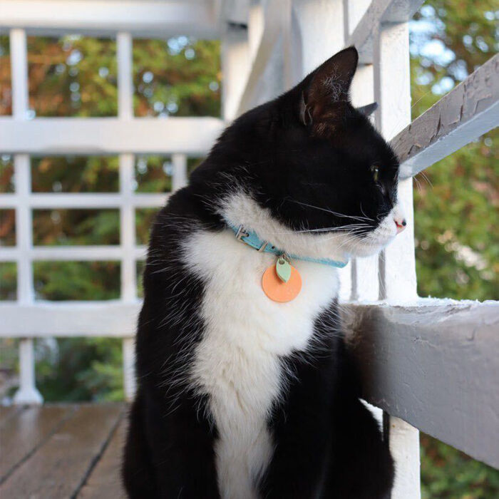 Médaille personnalisée acrylique coloré gravée 26 mm "orange"