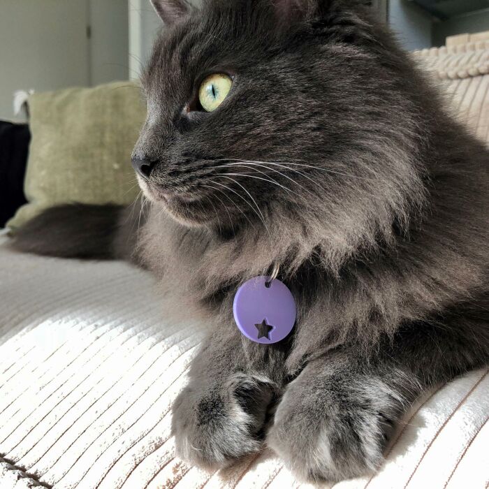 Duo de médaille personnalisée ajourée et bracelet acrylique colorée "étoile"