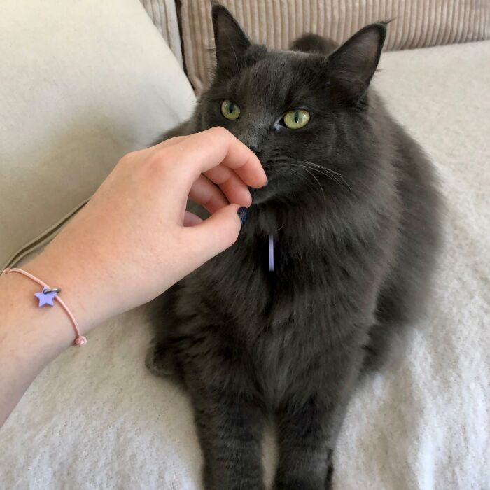 Duo de médaille personnalisée ajourée et bracelet acrylique colorée "étoile"