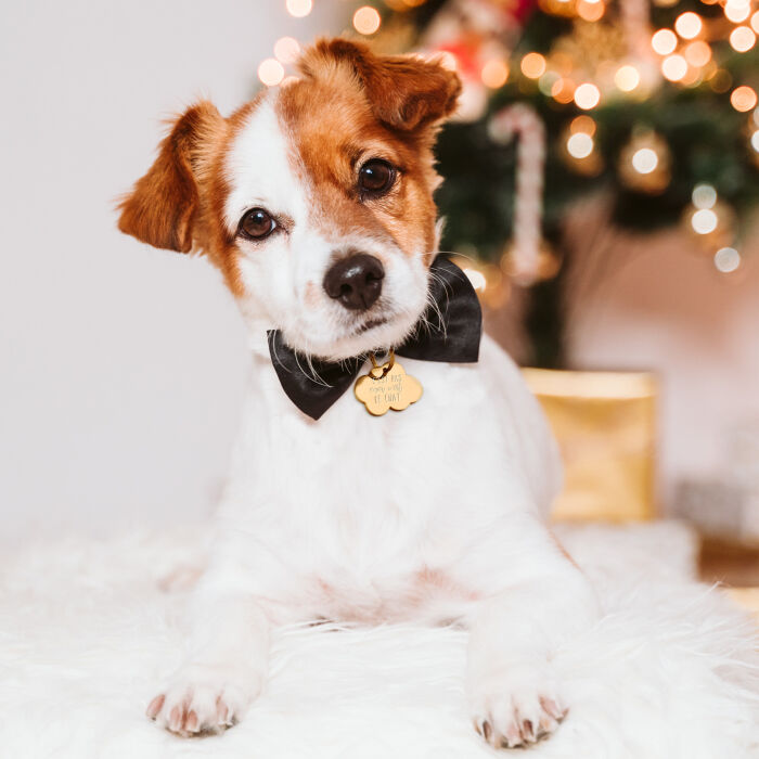 Médaille personnalisée acier doré gravée nuage 36x25 mm