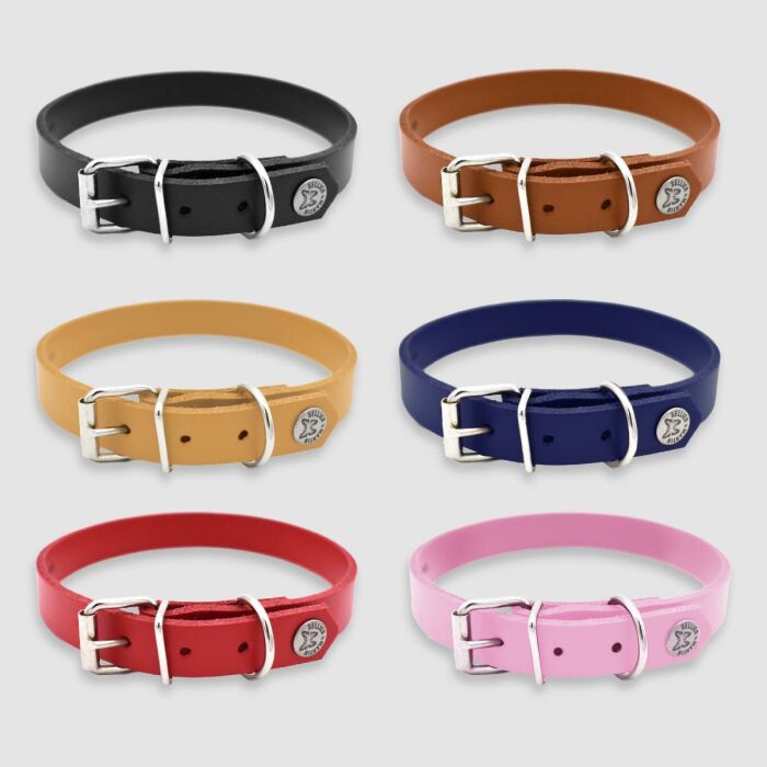 Collier cuir réglable chien 1,6x40cm