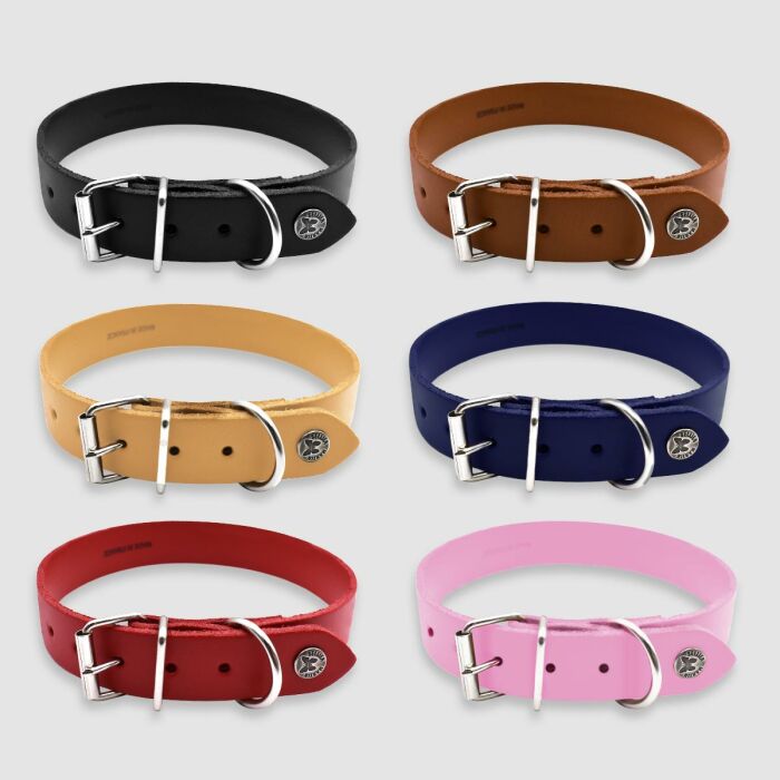 Collier cuir réglable chien 2,2x47cm