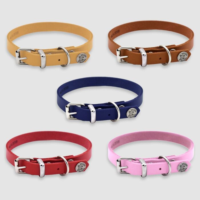 Collier cuir réglable personnalisé petit chien 1,2x33cm