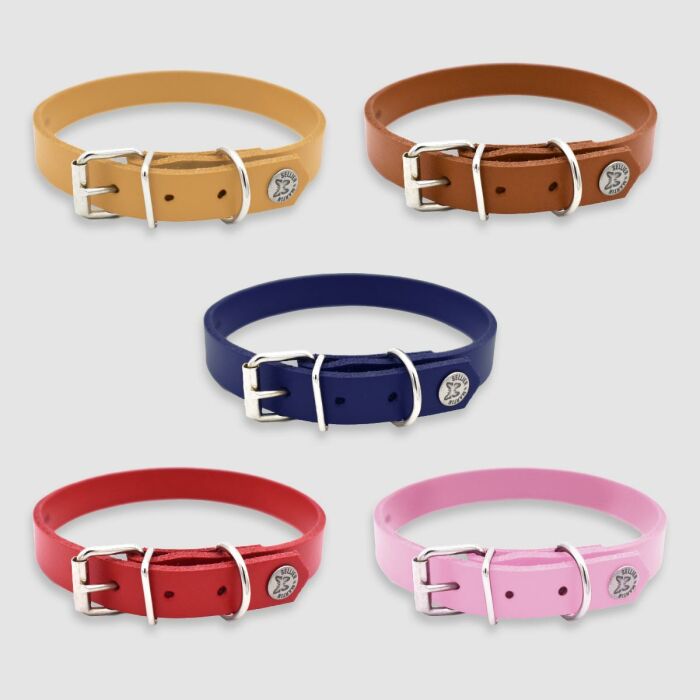 Collier cuir réglable personnalisé chien 1,6x40cm