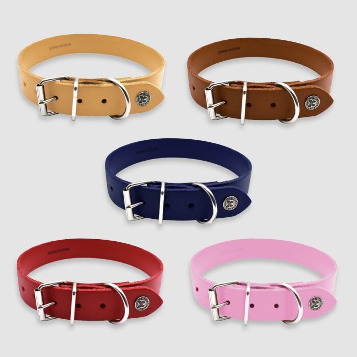 Collier cuir réglable personnalisé chien 2,2x47cm