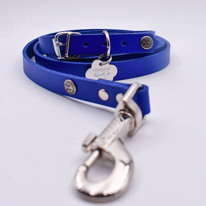 Collier cuir réglable chien 1,6x40cm