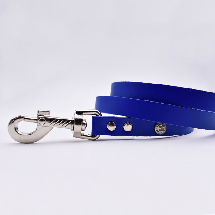 Laisse cuir chien 1,6x100cm