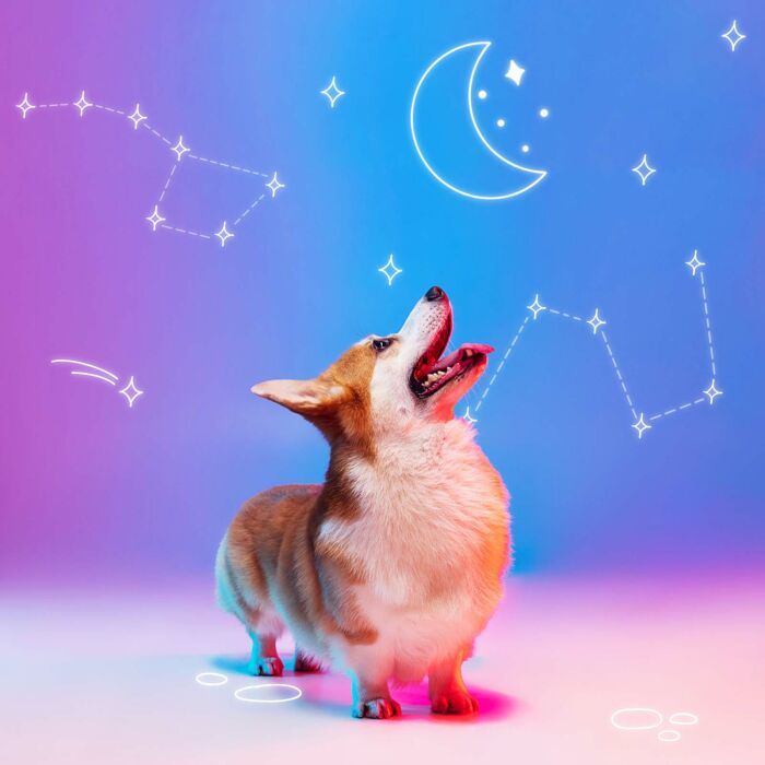 Médaille personnalisée acrylique coloré gravée ?x? mm "lune"