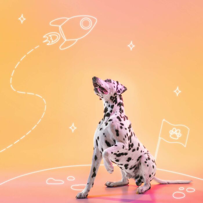 Médaille personnalisée acrylique coloré gravée ?x? mm "fusée"