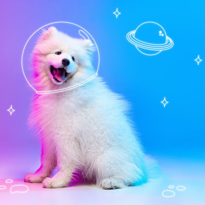 Médaille personnalisée acrylique coloré gravée ?x? mm "saturne"