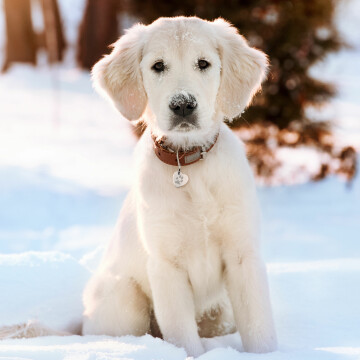 Médaille personnalisée acier argenté gravé cœur biais 30x33 mm
