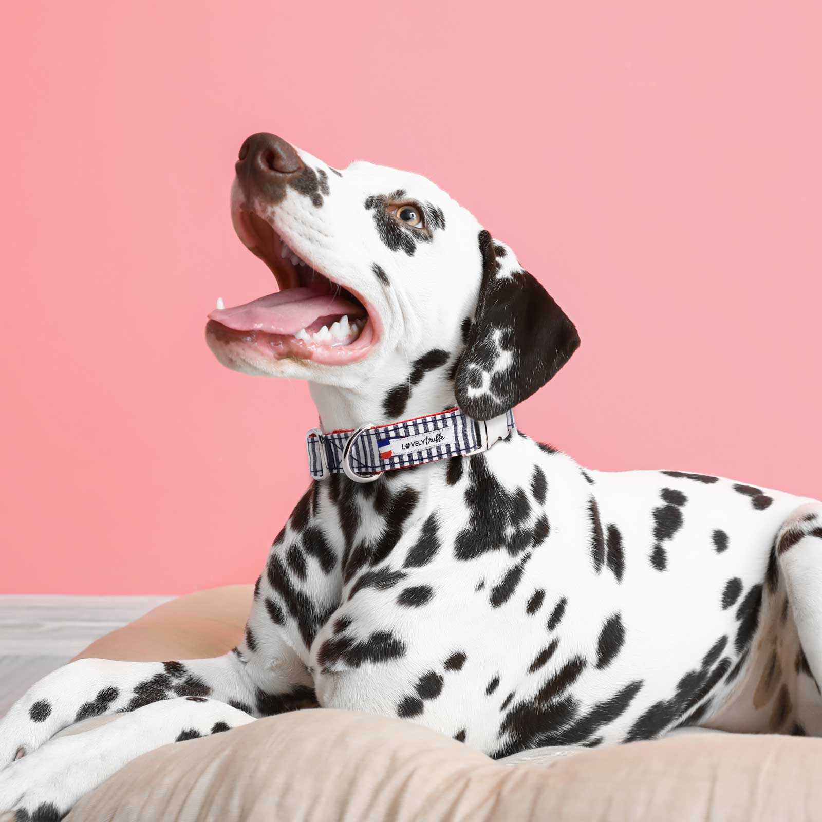 Collier De Princesse En Acier Inoxydable Blossoms Pour Les Femmes