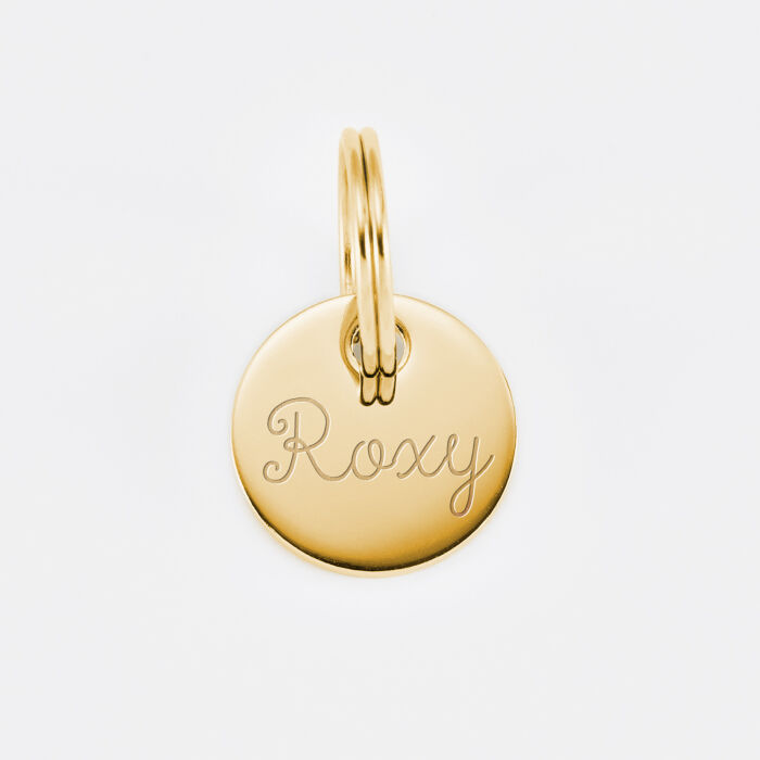 Médaille chien gravée acier doré ronde 16 mm
