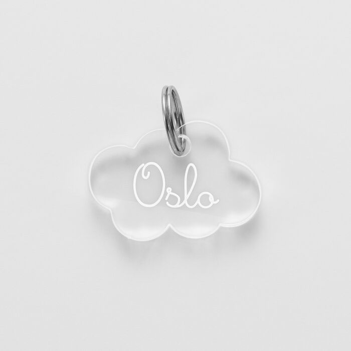 Médaille chien gravée acrylique nuage 25x18 mm