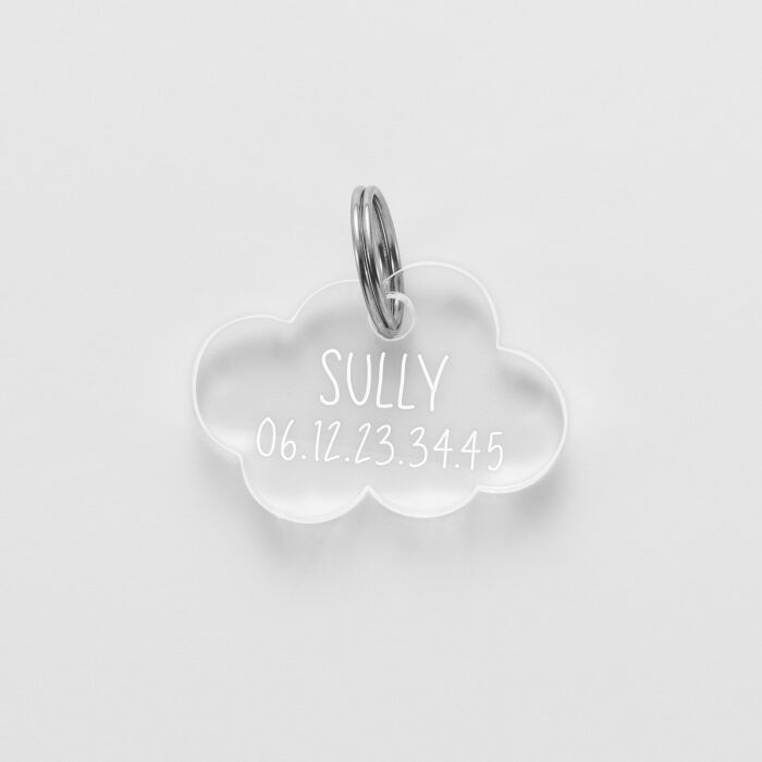 Médaille chien gravée acrylique nuage 25x18 mm