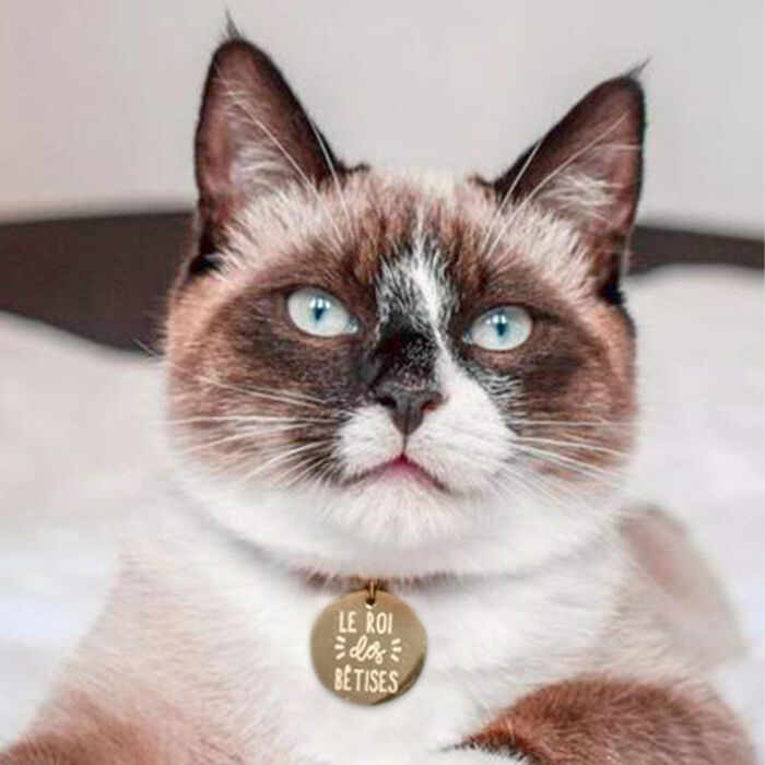 Médaille chat gravée acier doré ronde 22 mm