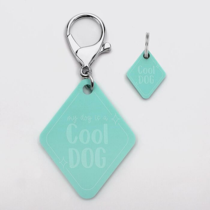 Duo de breloque pour chien et porte-clés personnalisé acrylique colorée retro