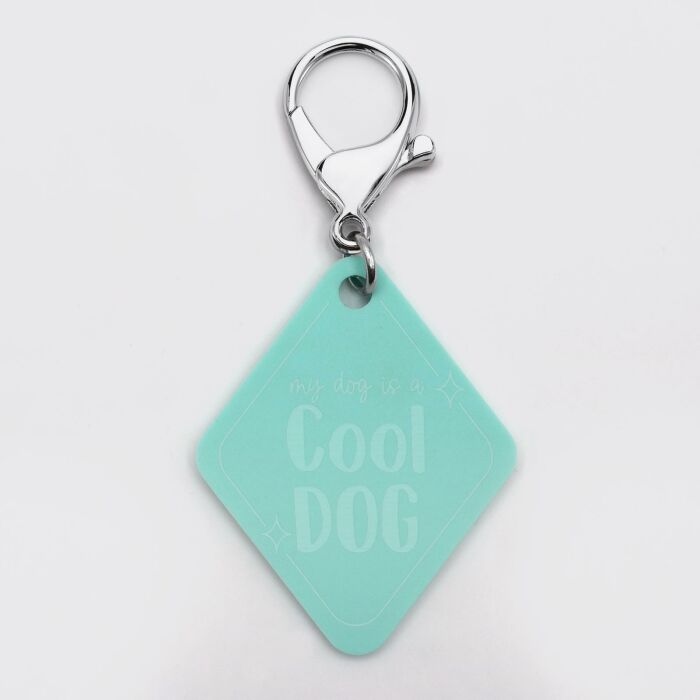 Duo de breloque pour chien et porte-clés personnalisé acrylique colorée retro