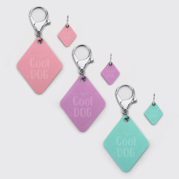 Duo de breloque pour chien et porte-clés personnalisé acrylique colorée retro