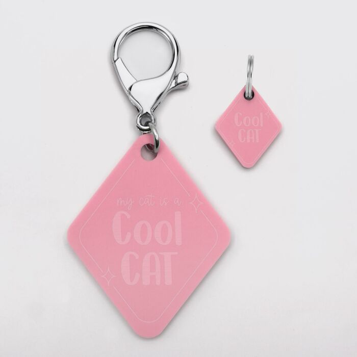 Duo de breloque pour chat et porte-clés personnalisé acrylique colorée retro