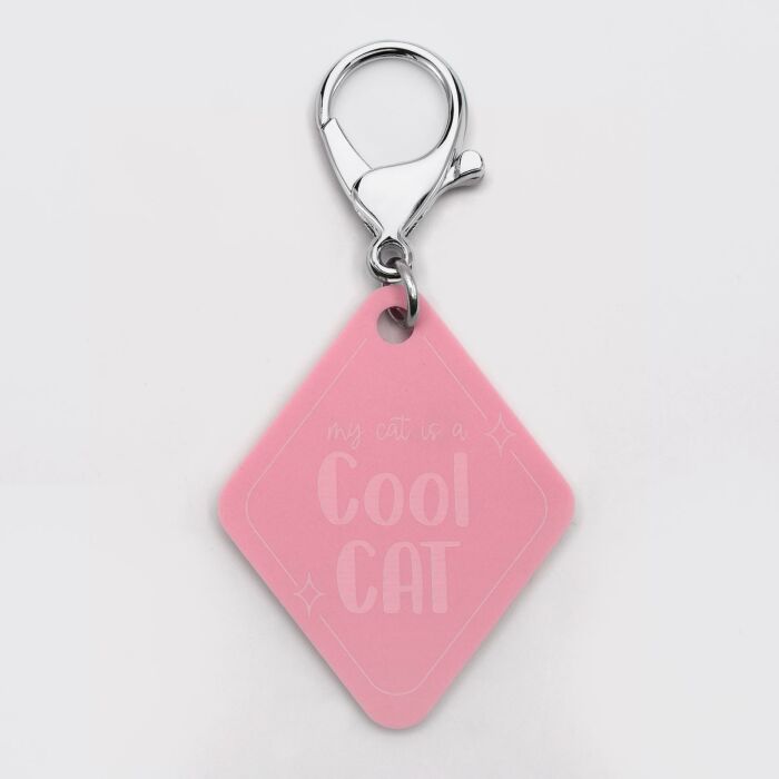 Duo de breloque pour chat et porte-clés personnalisé acrylique colorée retro