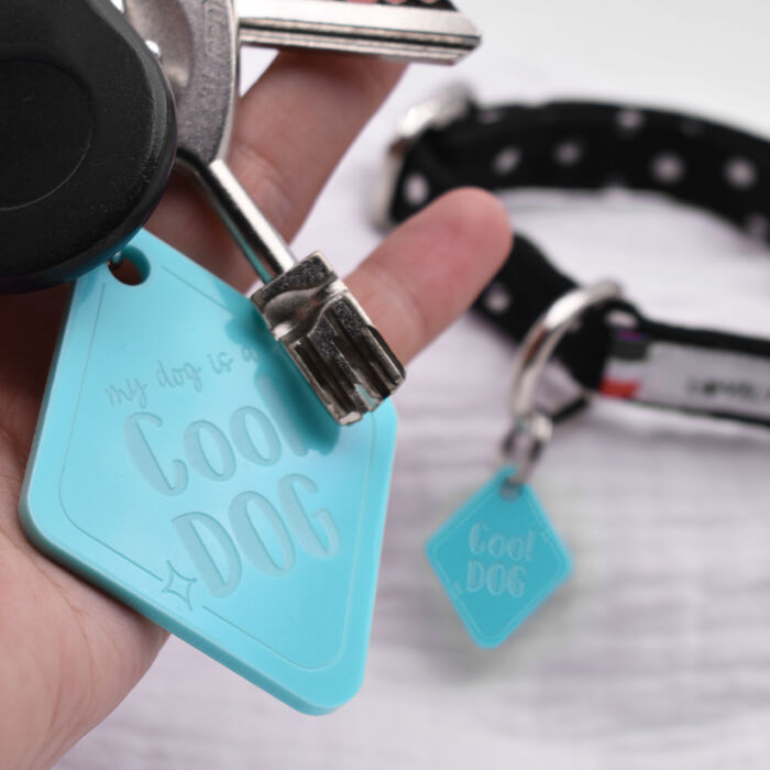 Duo de breloque pour chien et porte-clés personnalisé acrylique colorée retro