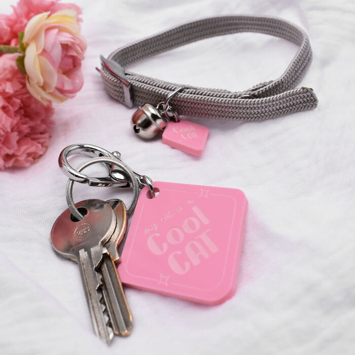 Duo de breloque pour chat et porte-clés personnalisé acrylique colorée retro